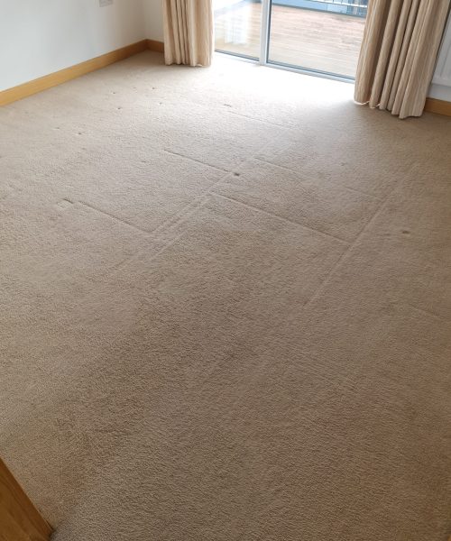 clean lounge carpet - Skyline Cleaning