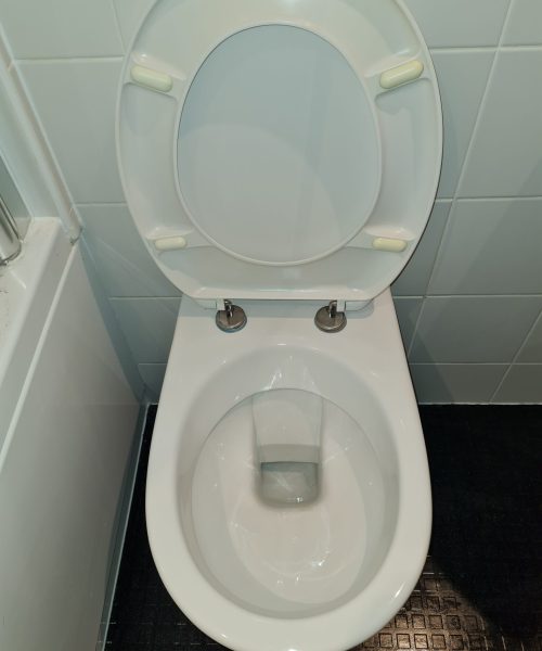 clean toilet - Skyline Cleaning